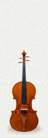 Viola 01