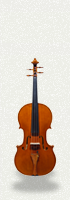 Viola 01