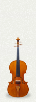 Viola 02