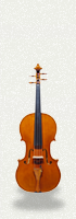 Viola 02